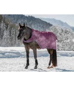 THERMO MASTER Chemise de marcheur imperméable Kasimo II, 0 g noir-violet New
