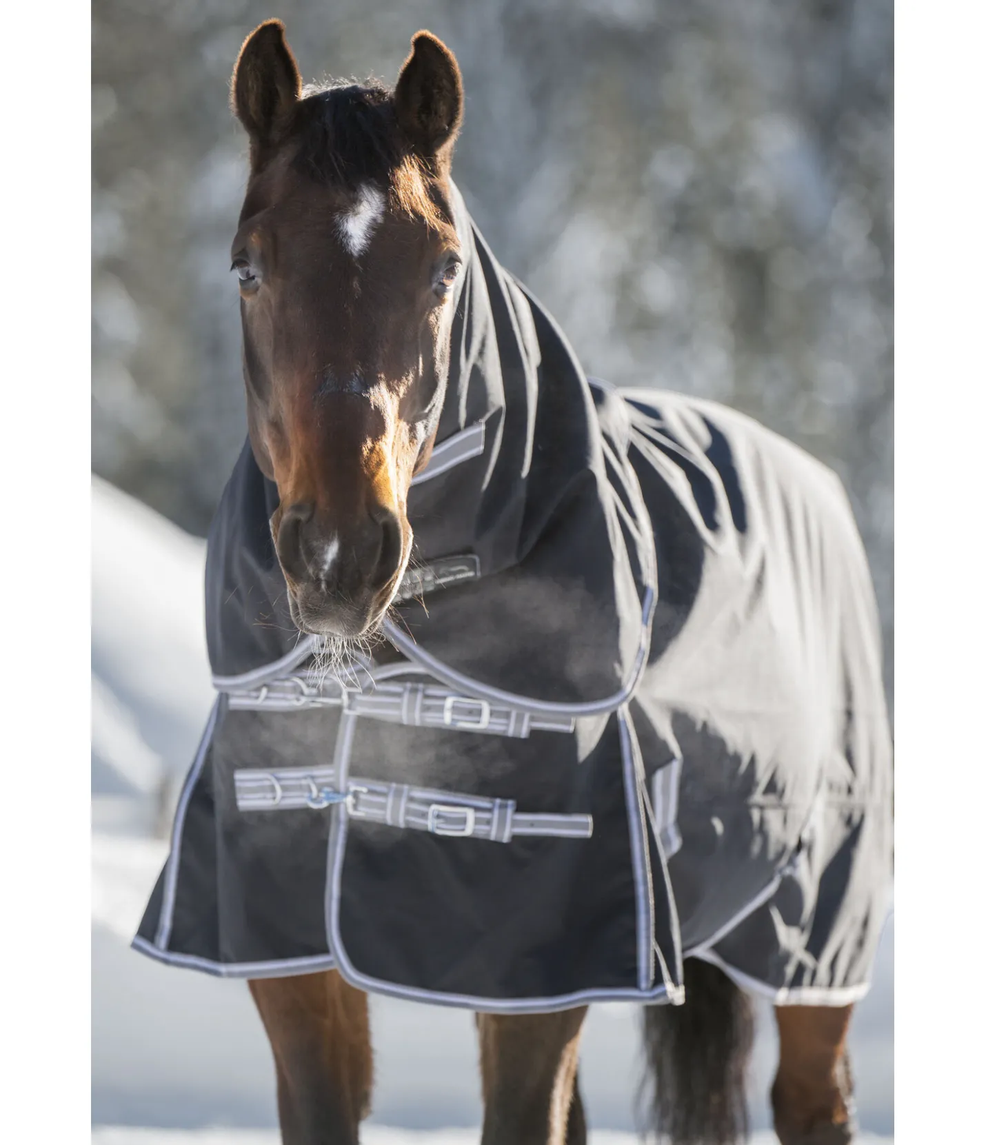 THERMO MASTER Chemise d'extérieur à combiner Janice, 0 g noir Discount