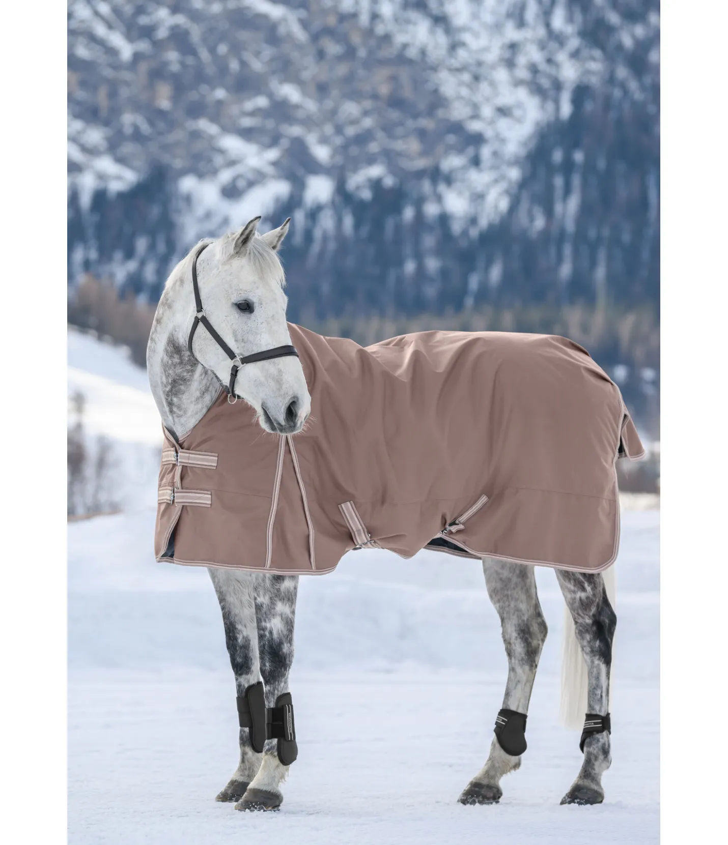 THERMO MASTER Chemise d'extérieur Kadir IV, 0 g cannelle Clearance