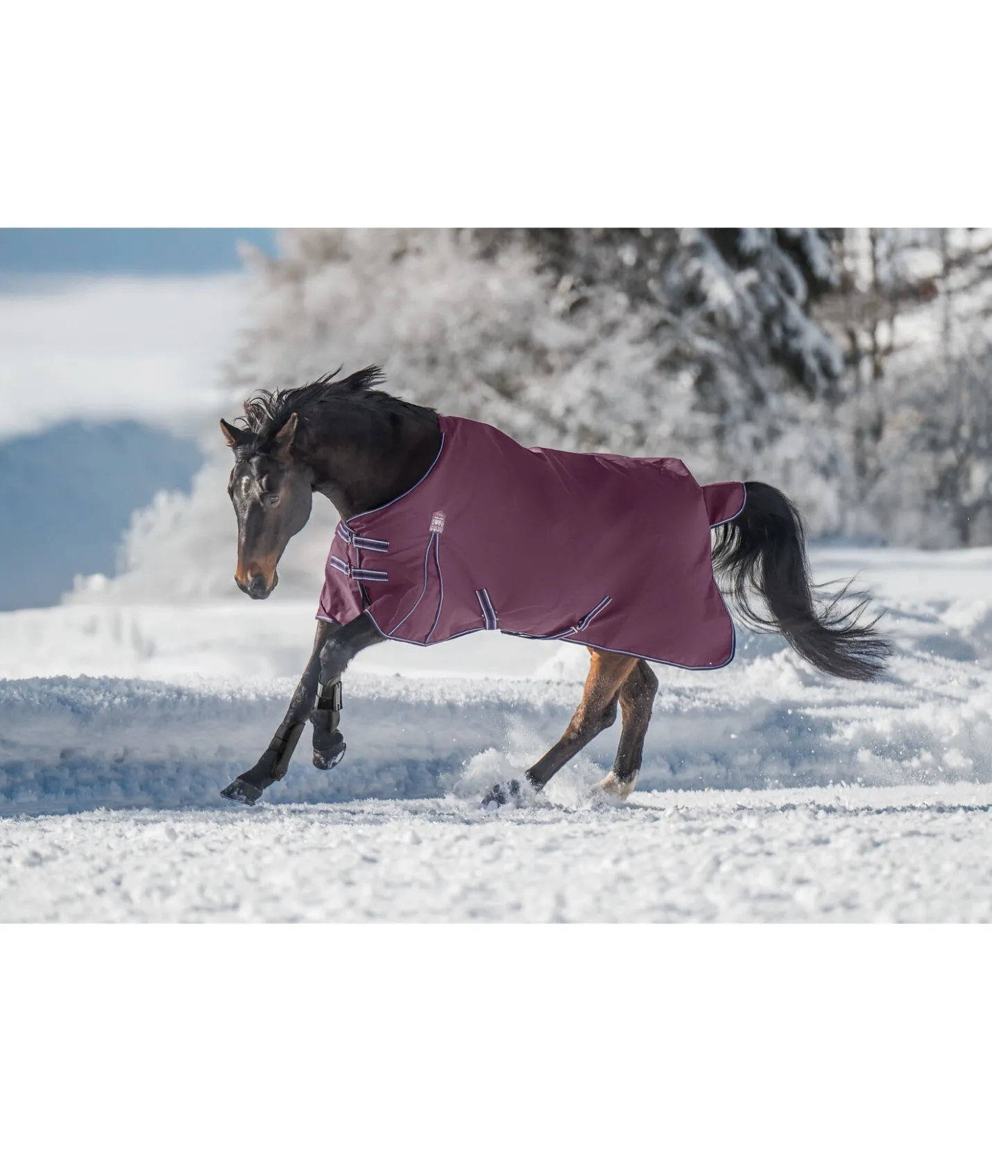 THERMO MASTER Chemise d'extérieur Kadir IV, 0 g noir-violet Clearance