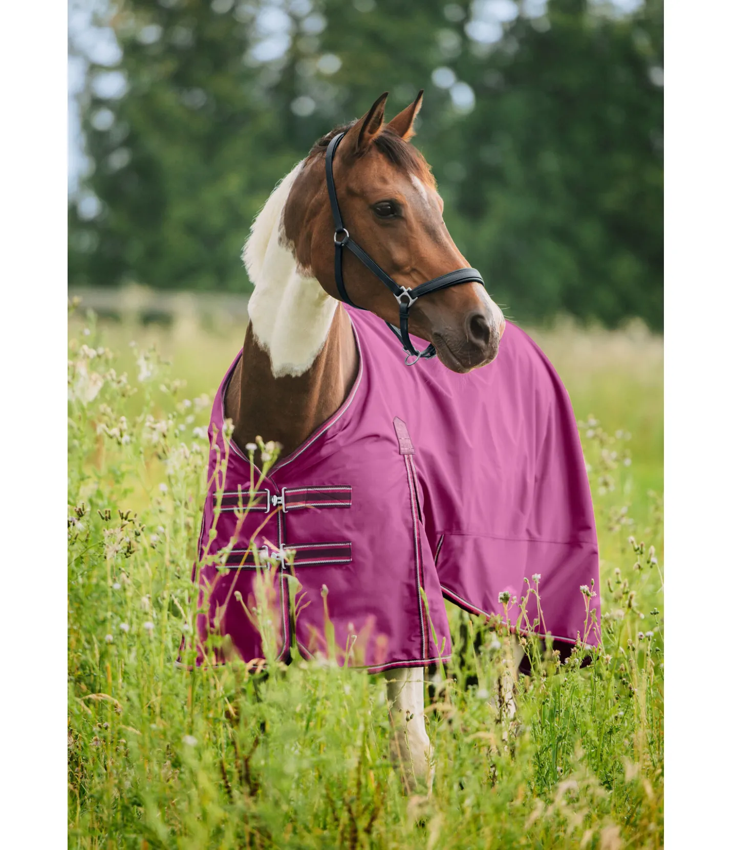 THERMO MASTER Chemise d'extérieur Kadir IV, 0 g rose-éclatant Discount