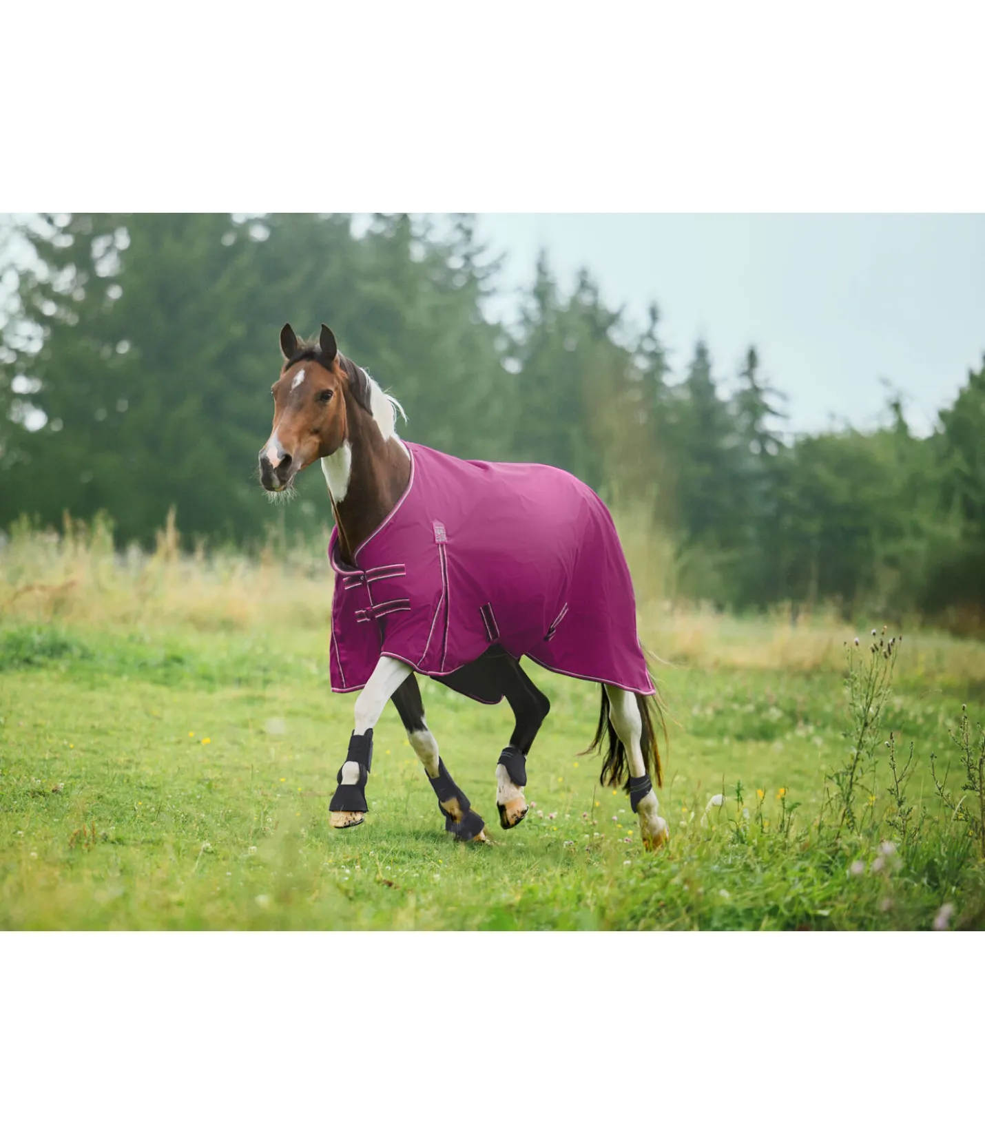 THERMO MASTER Chemise d'extérieur Kadir IV, 0 g rose-éclatant Discount