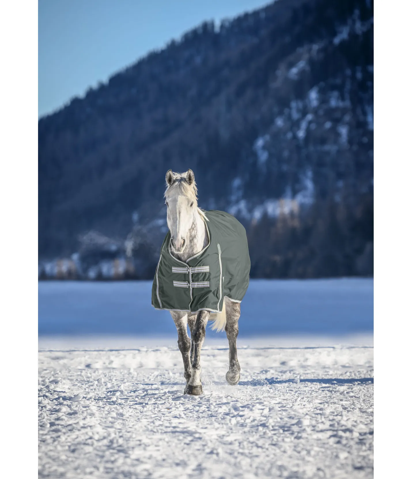 THERMO MASTER Chemise d'extérieur Kadir IV, 0 g forêt New