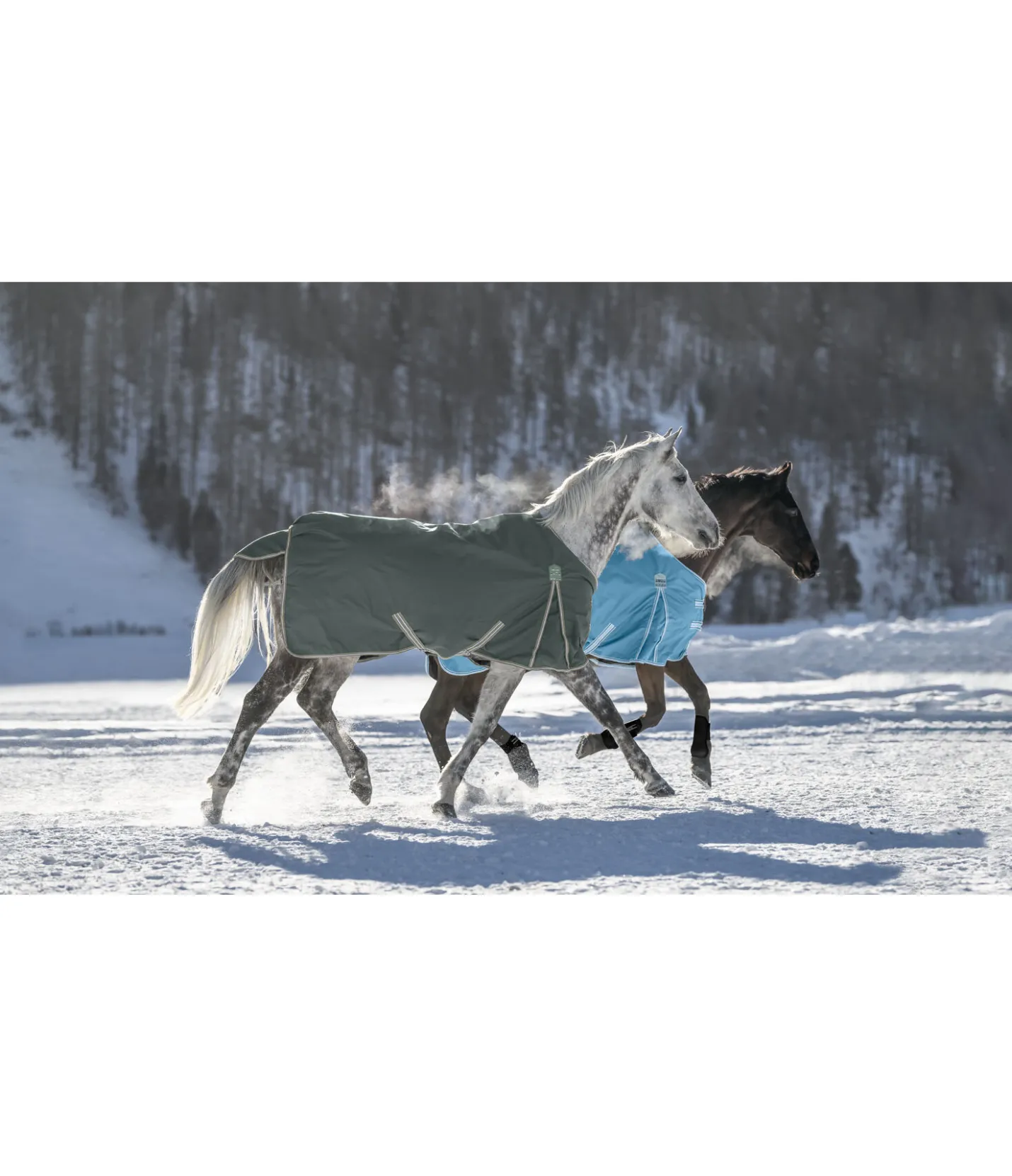 THERMO MASTER Chemise d'extérieur Kadir IV, 0 g forêt New
