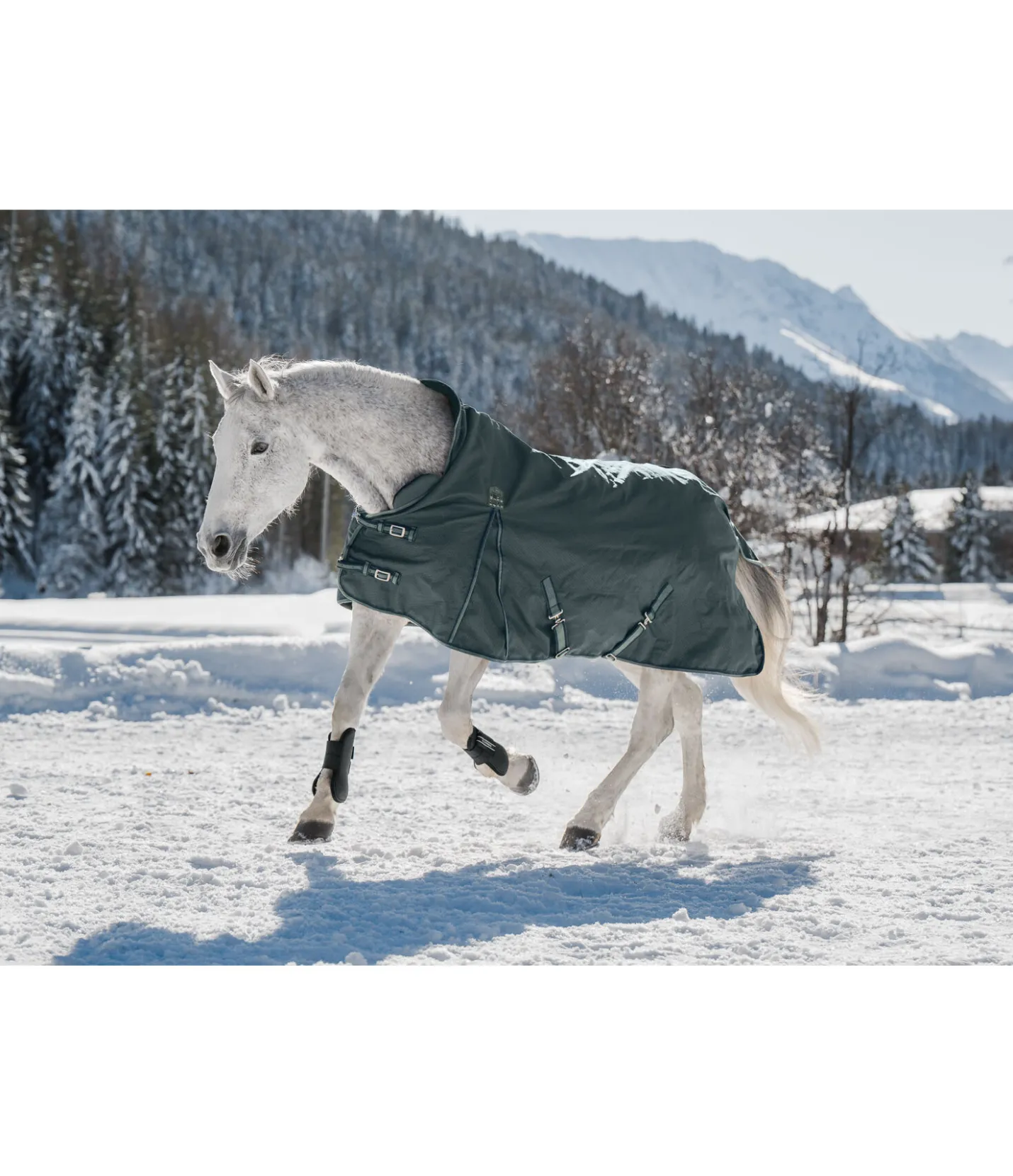 THERMO MASTER Chemise d'extérieur Highneck avec doublure polaire Jesco II, 0 g thé vert Online