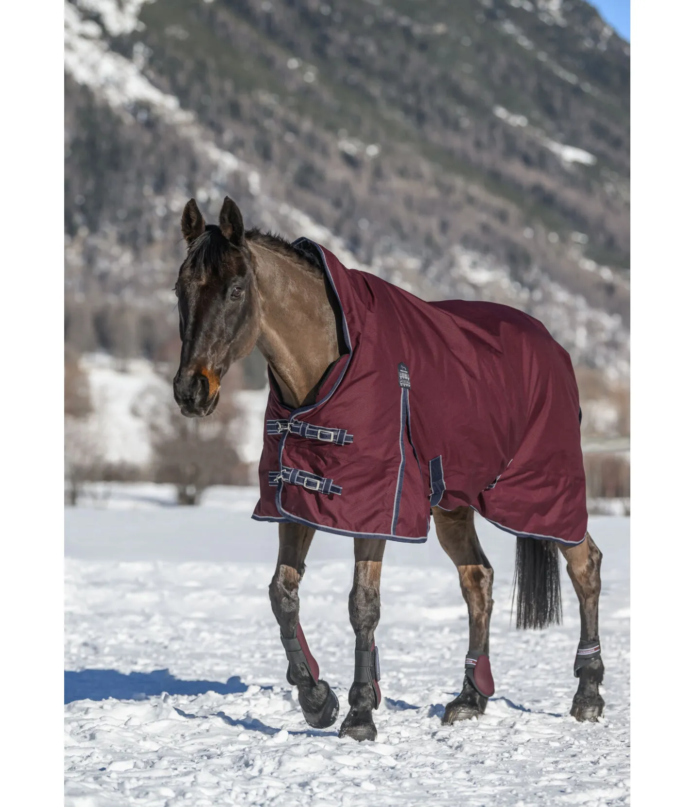 THERMO MASTER Chemise d'extérieur Highneck avec doublure polaire Jesco II, 0 g acajou Online