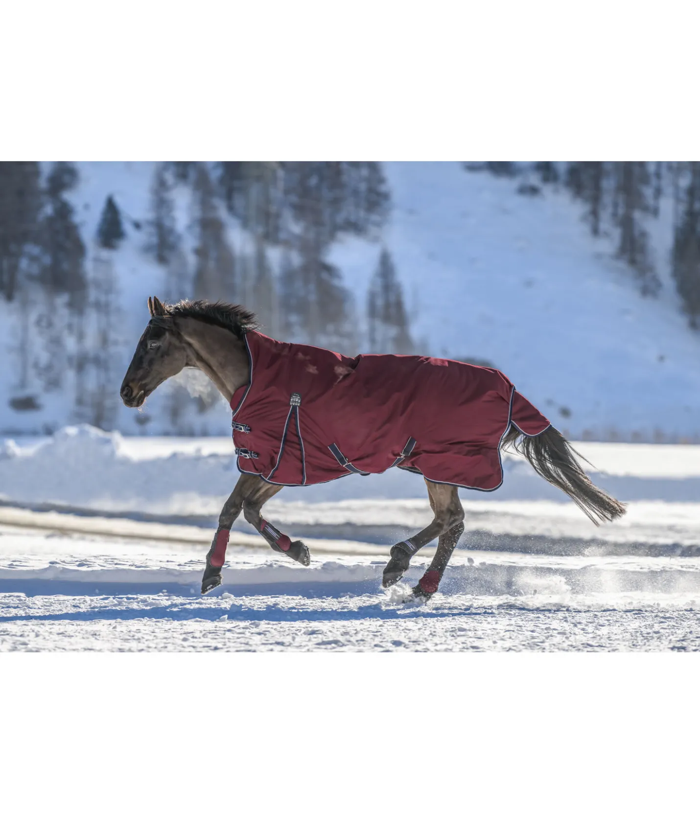 THERMO MASTER Chemise d'extérieur Highneck avec doublure polaire Jesco II, 0 g acajou Online
