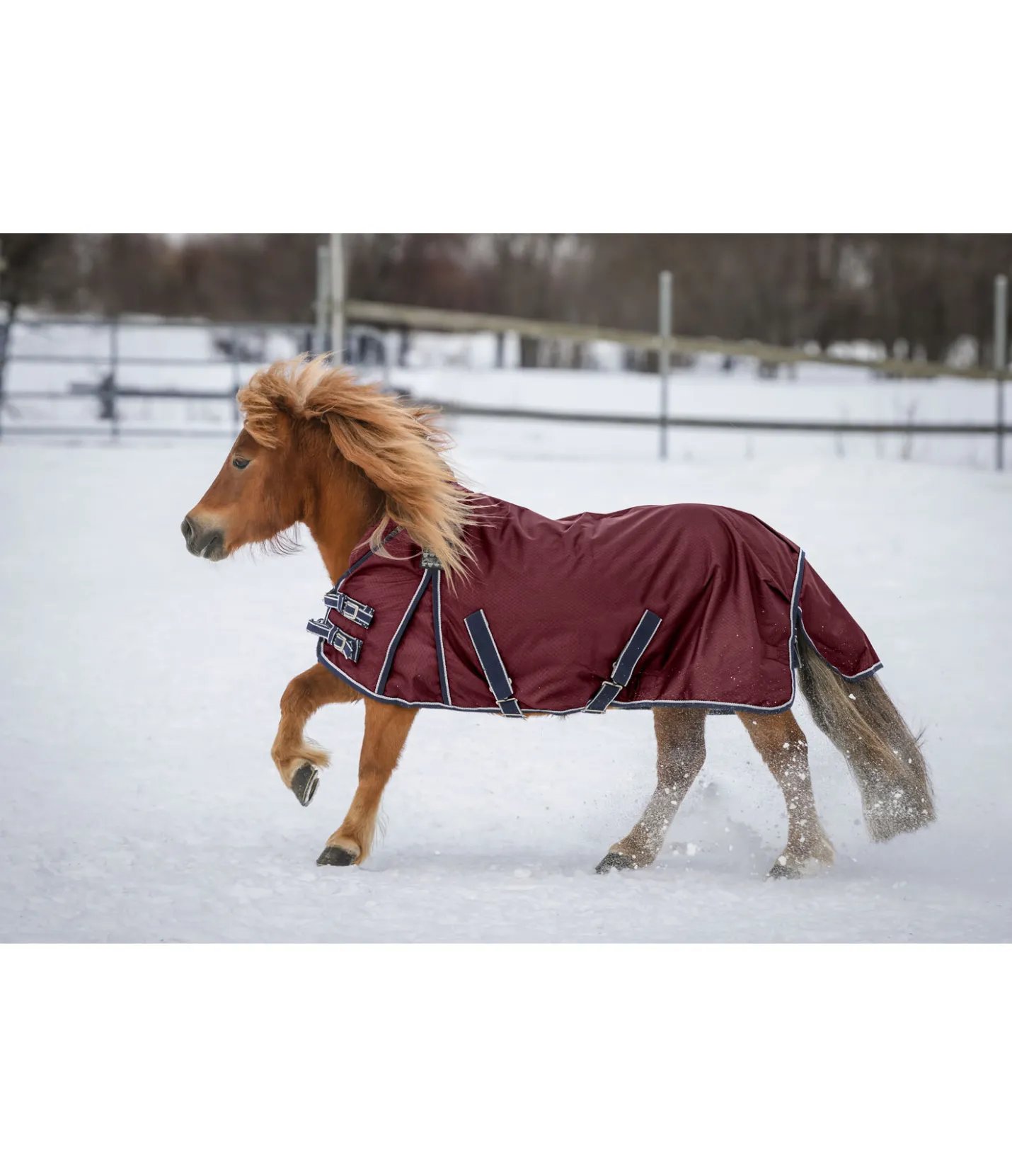THERMO MASTER Chemise d'extérieur Highneck avec doublure polaire Jesco II, 0 g acajou Online