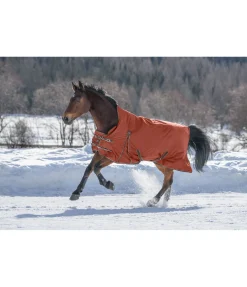 THERMO MASTER Chemise d'extérieur Highneck avec doublure polaire Jesco II, 0 g Potiron New