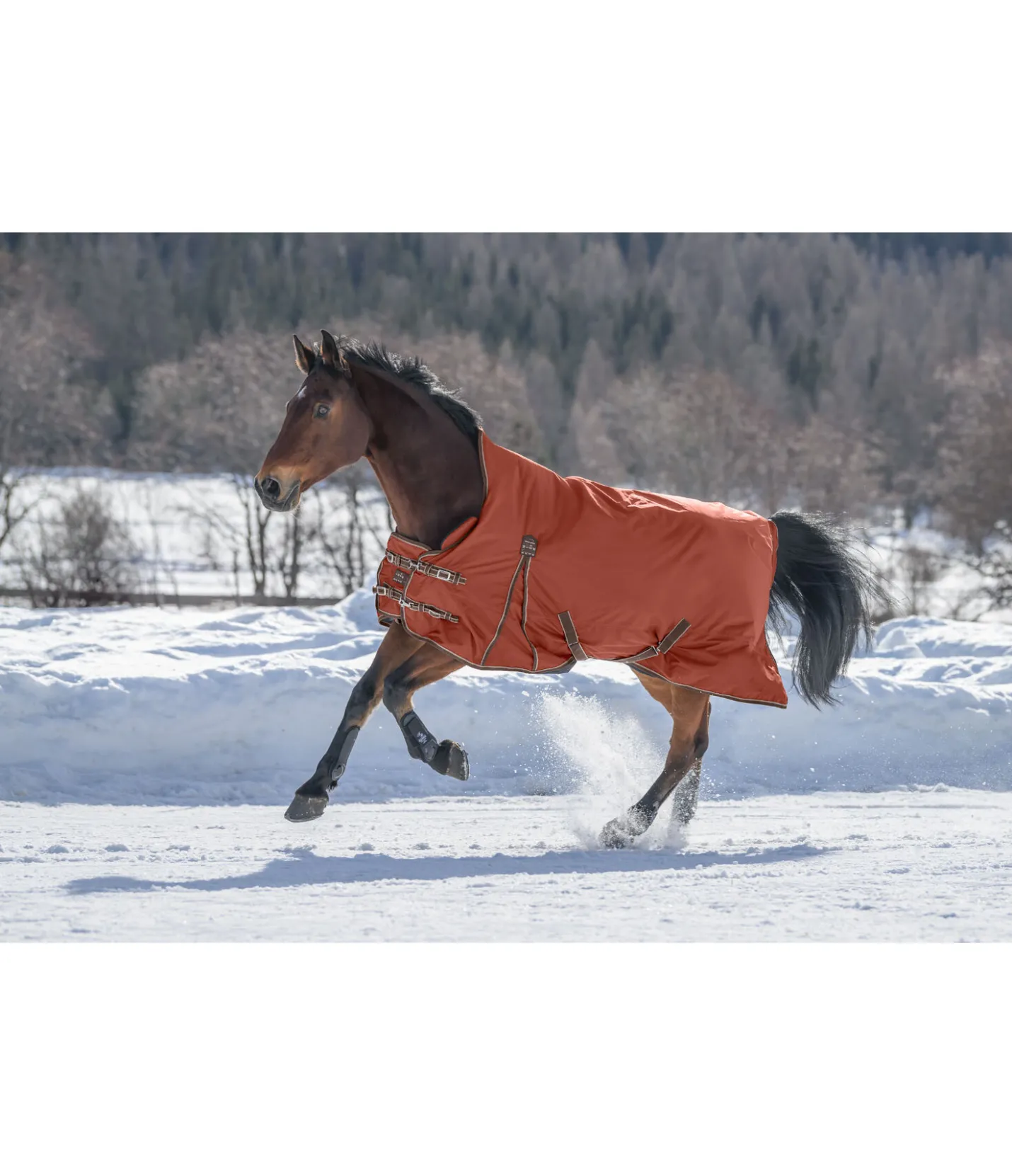 THERMO MASTER Chemise d'extérieur Highneck avec doublure polaire Jesco II, 0 g Potiron New