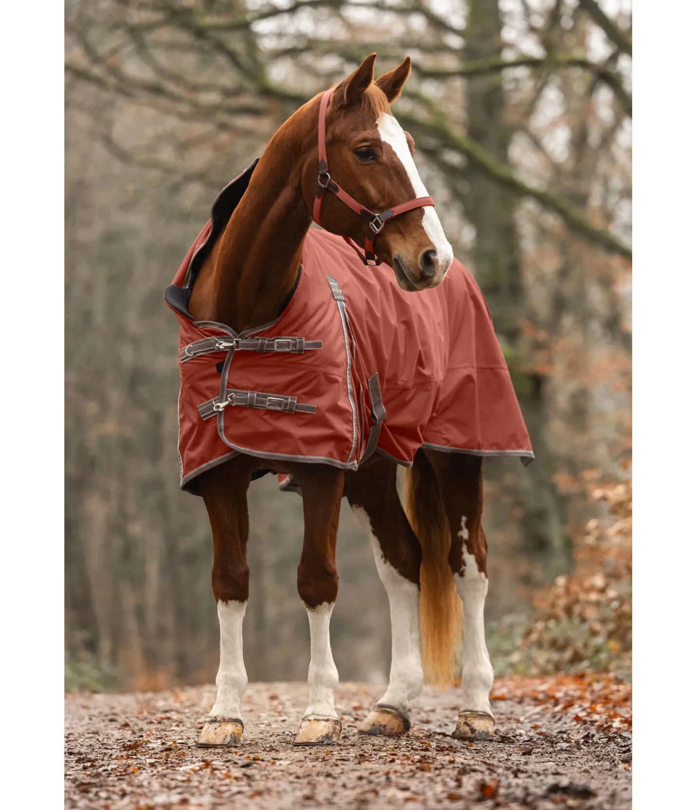 THERMO MASTER Chemise d'extérieur Highneck avec doublure polaire Jesco II, 0 g Potiron New