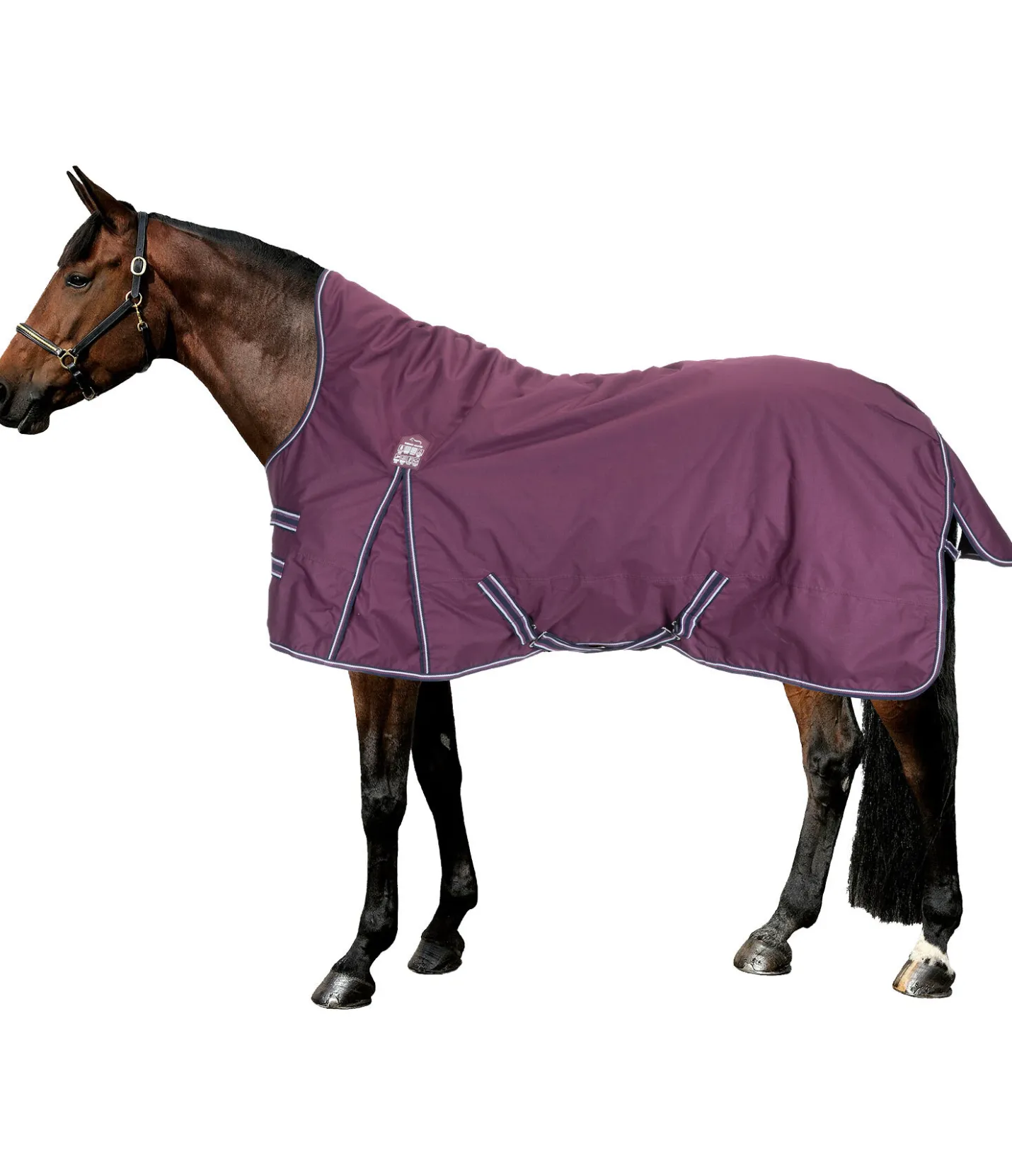 THERMO MASTER Chemise d'extérieur Highneck Kalina II, 0 g noir-violet Hot