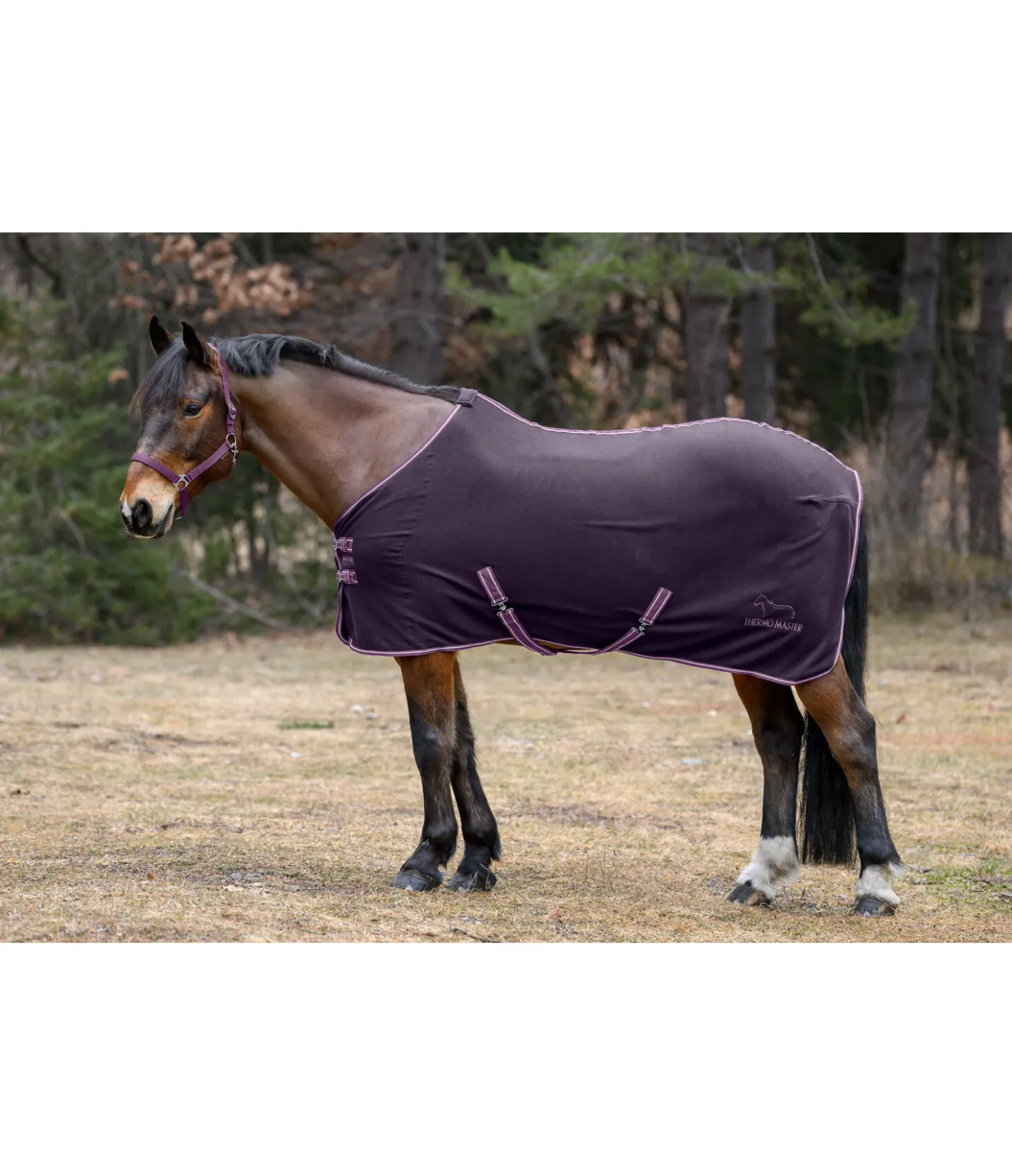 THERMO MASTER Chemise polaire Activity baie noir New
