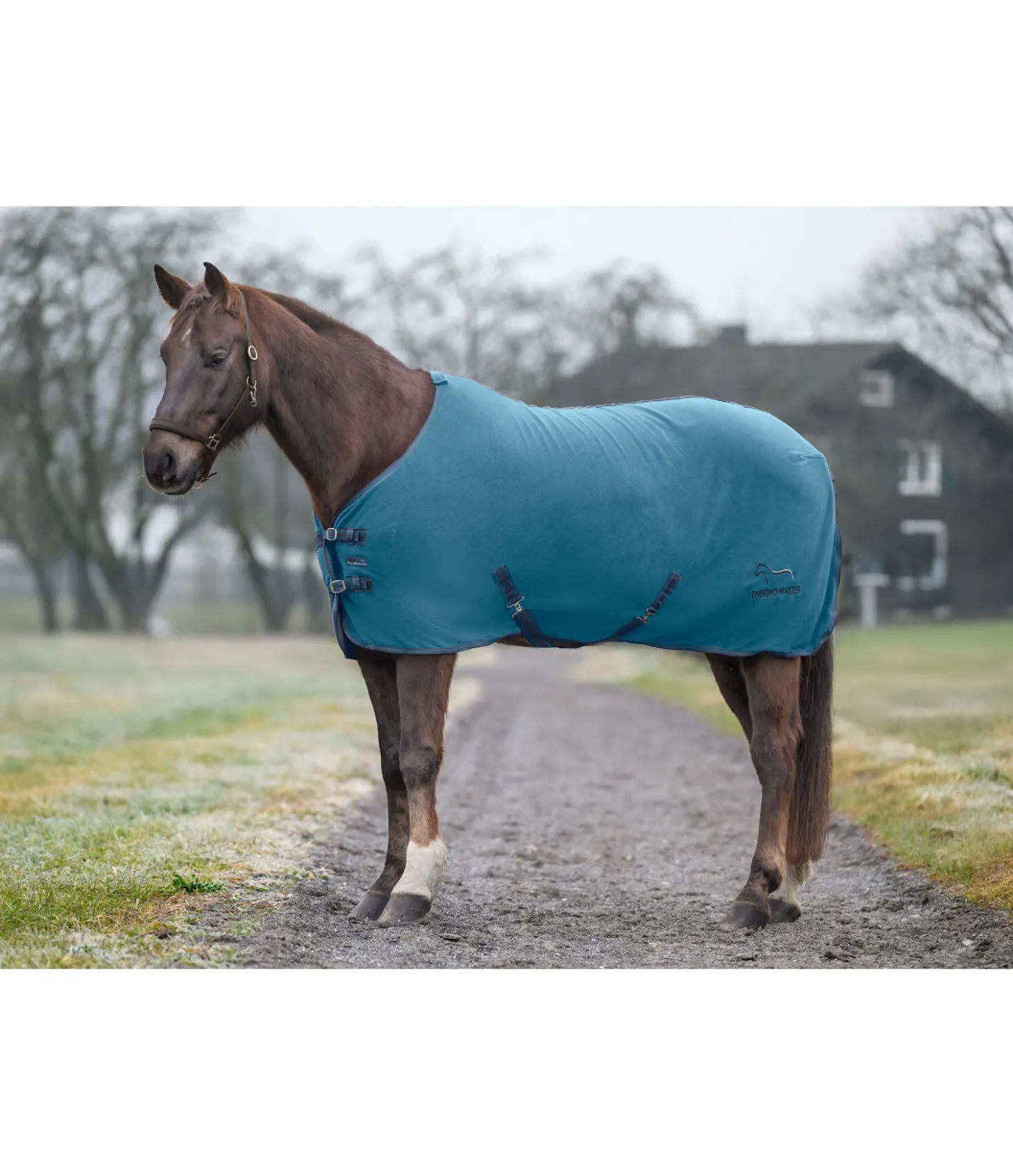 THERMO MASTER Chemise polaire Activity aquamarine Online