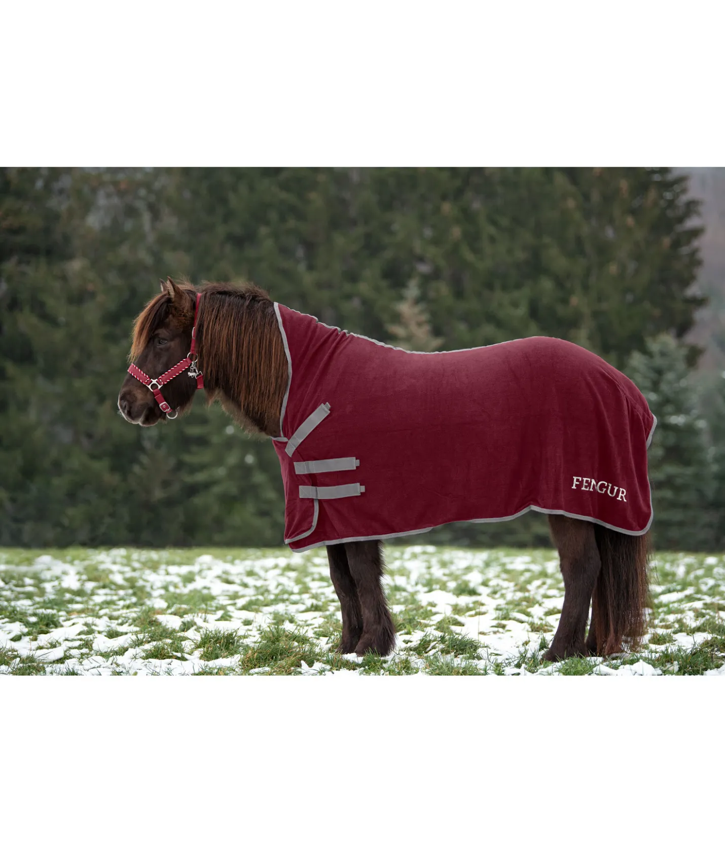 FENGUR Chemise polaire Sigrún cabernet Discount