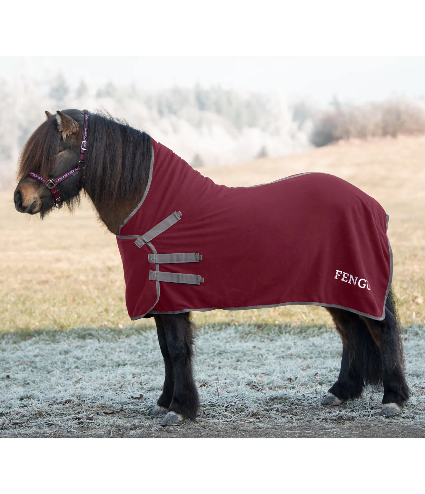 FENGUR Chemise polaire Sigrún cabernet Discount
