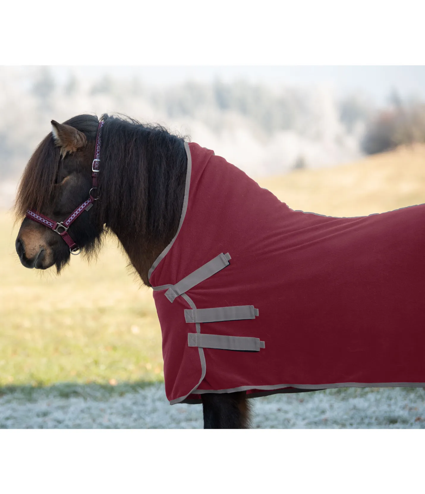 FENGUR Chemise polaire Sigrún cabernet Discount
