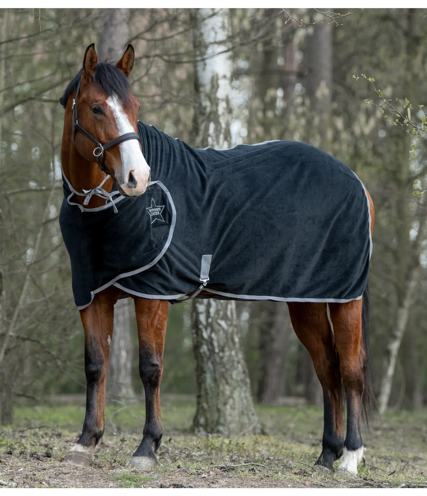 STONEDEEK Chemise séchante Stella noir Sale