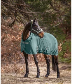 Felix Bühler Chemise séchante polaire Life Cycle origan