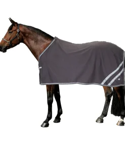 STEEDS Chemise séchante réfléchissante Safety First argenté/titane Clearance