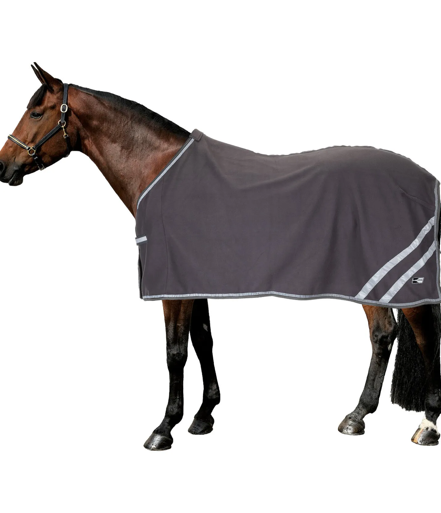 STEEDS Chemise séchante réfléchissante Safety First argenté/titane Clearance