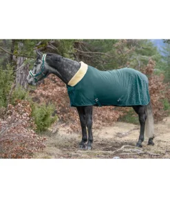 Felix Bühler Chemise séchante technique Sparkling II vert tropical Outlet