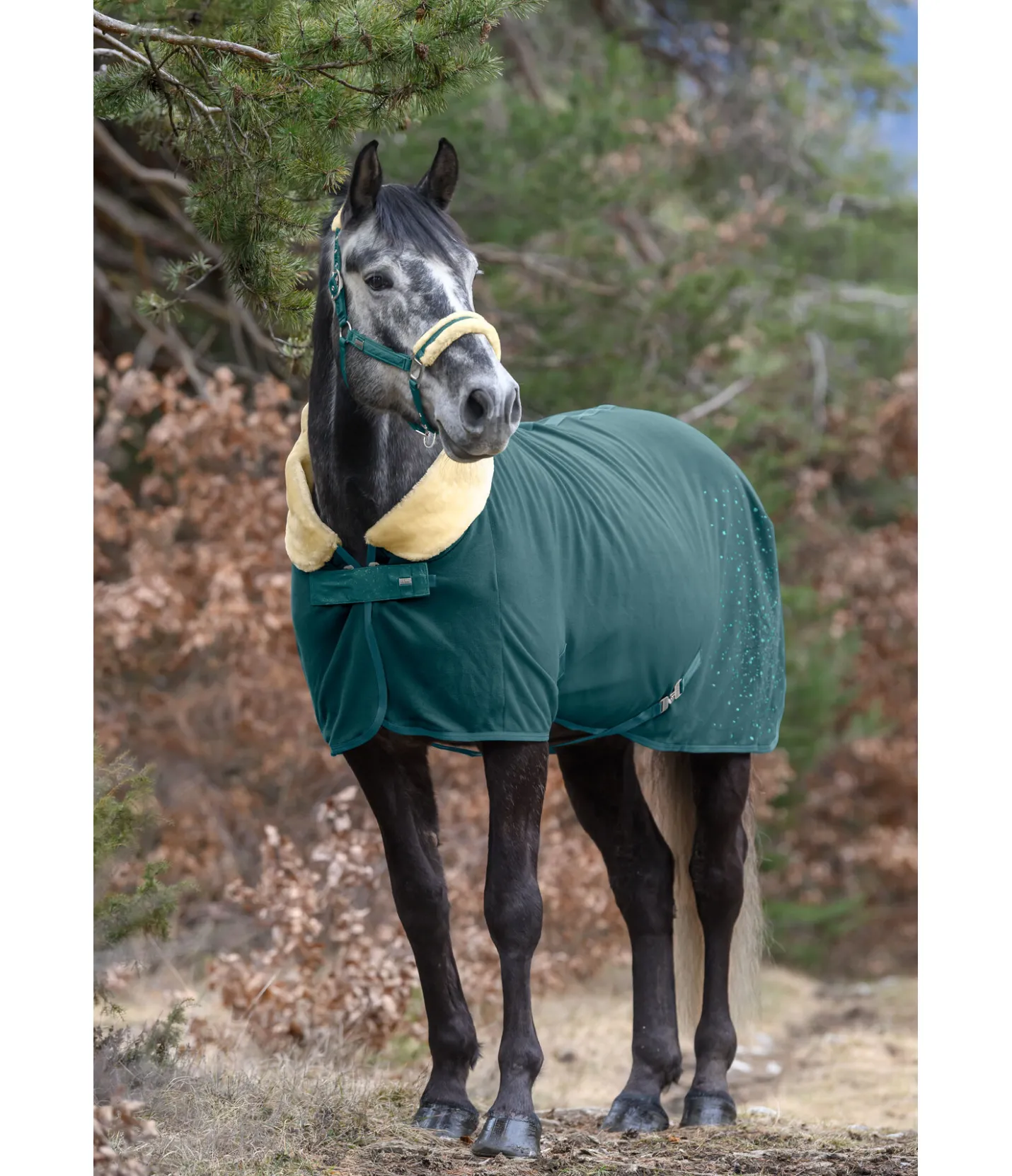 Felix Bühler Chemise séchante technique Sparkling II vert tropical Outlet