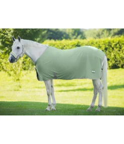 Felix Bühler Chemise séchante technique en polaire Essential aloe vera Hot