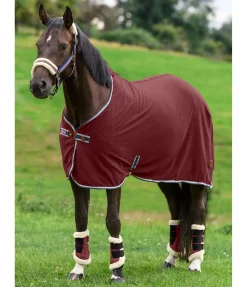 Felix Bühler Chemise séchante technique en polaire Essential bordeaux Sale