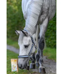 Original Landmühle Chips de banane Discount