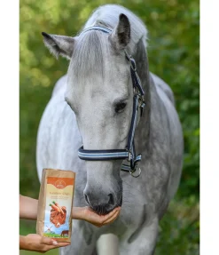 Original Landmühle Chips de carotte Sale