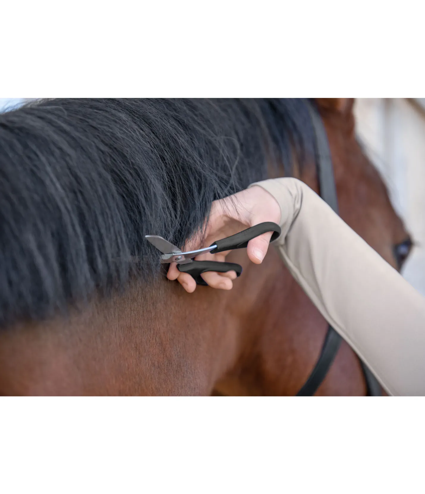 SHOWMASTER Ciseaux à crins Professional Sale
