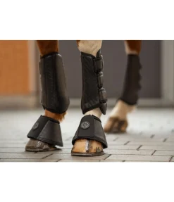 Felix Bühler Cloches Dressage-Derby noir Online
