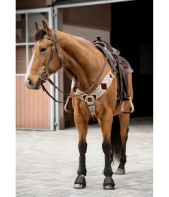 RANCH-X Cloches Pro noir New