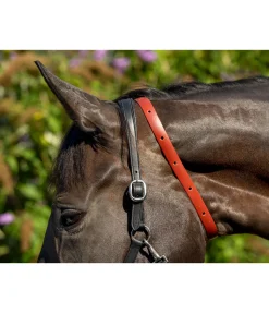 SHOWMASTER Collier anti-parasites pour cheval Outlet