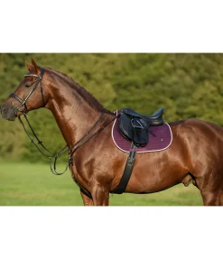 CLARIDGE HOUSE Collier de chasse en cuir gras Basic noir