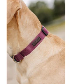 sugar dog Collier pour chien Champ bordeaux Best