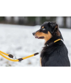 sugar dog Collier pour chien Rope melon jaune