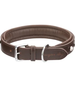 sugar dog Collier pour chien en cuir Chinook marron foncé Hot