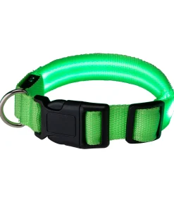 sugar dog Collier pour chien LED Loom vert