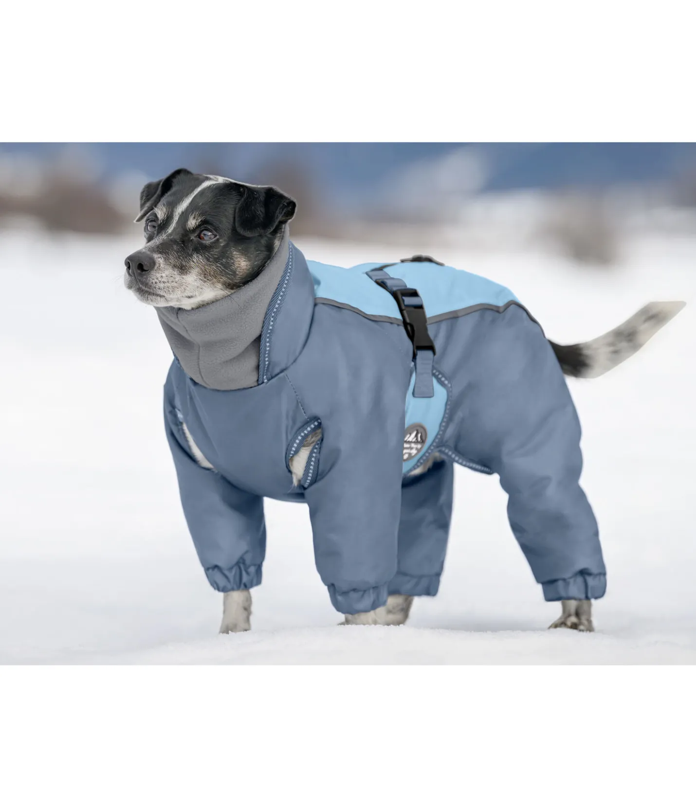 sugar dog Combinaison de neige pour chien Mount Whistler 120 g bleu fumée Discount
