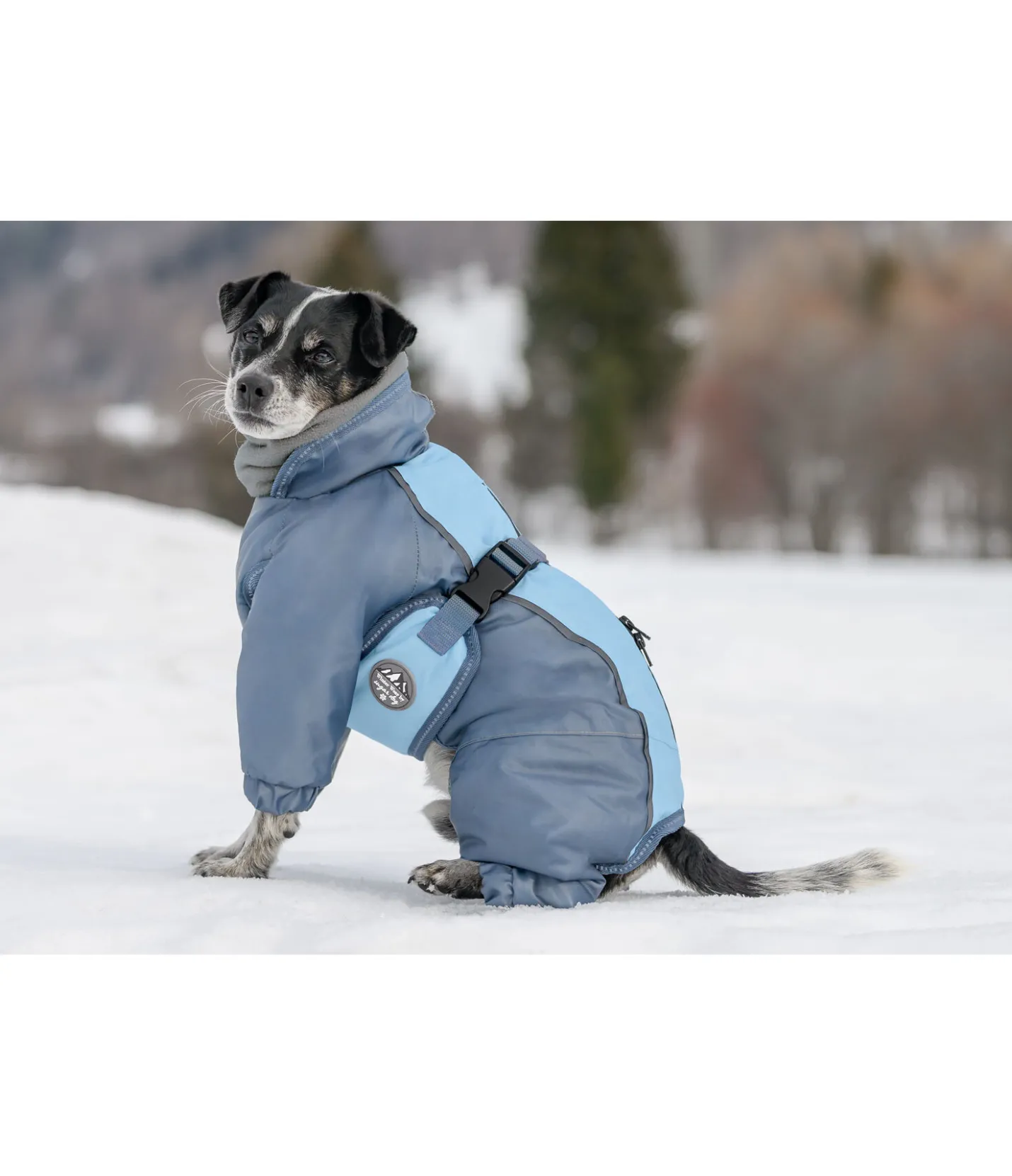 sugar dog Combinaison de neige pour chien Mount Whistler 120 g bleu fumée Discount