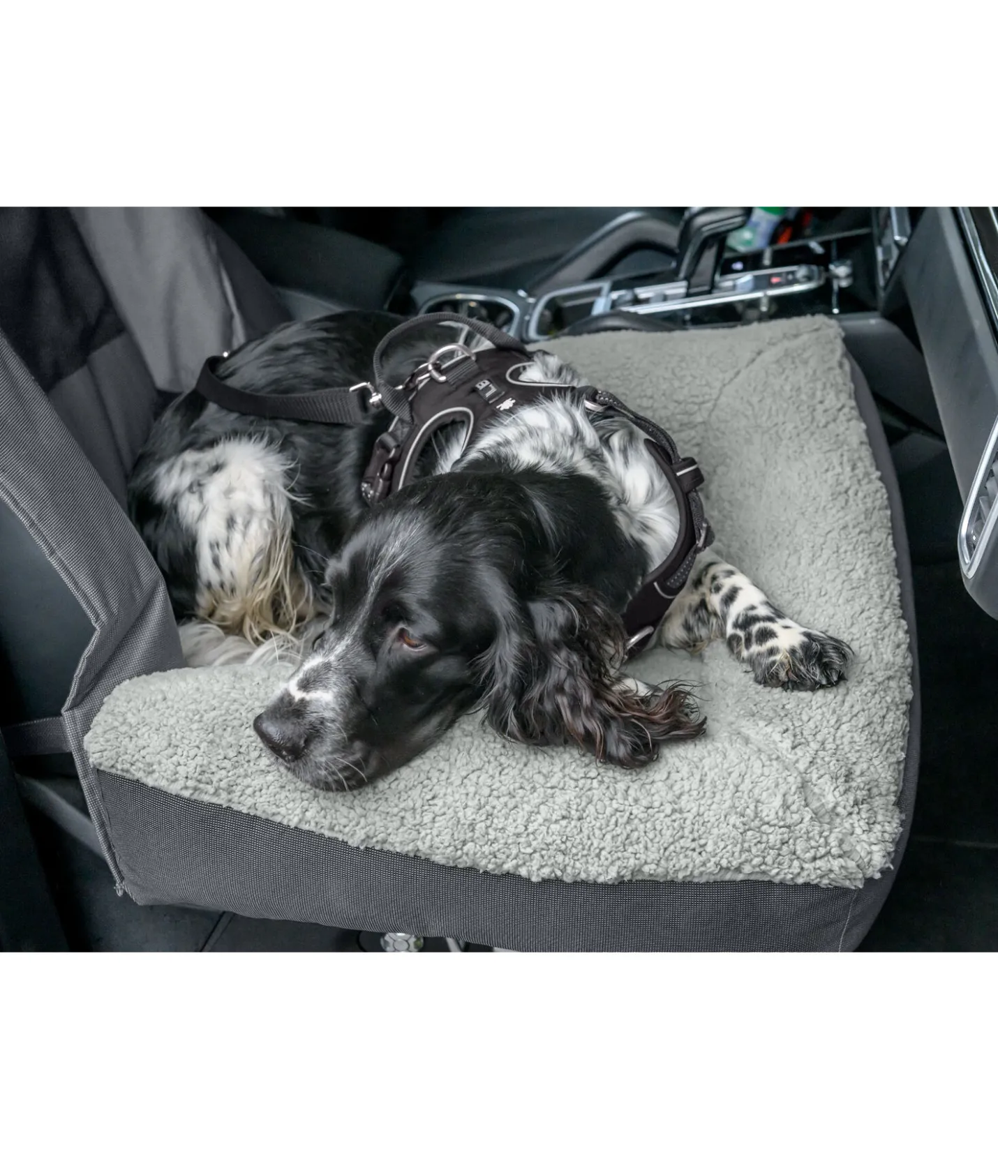 sugar dog Coussin siège-auto pour chien Maine gris nuage New