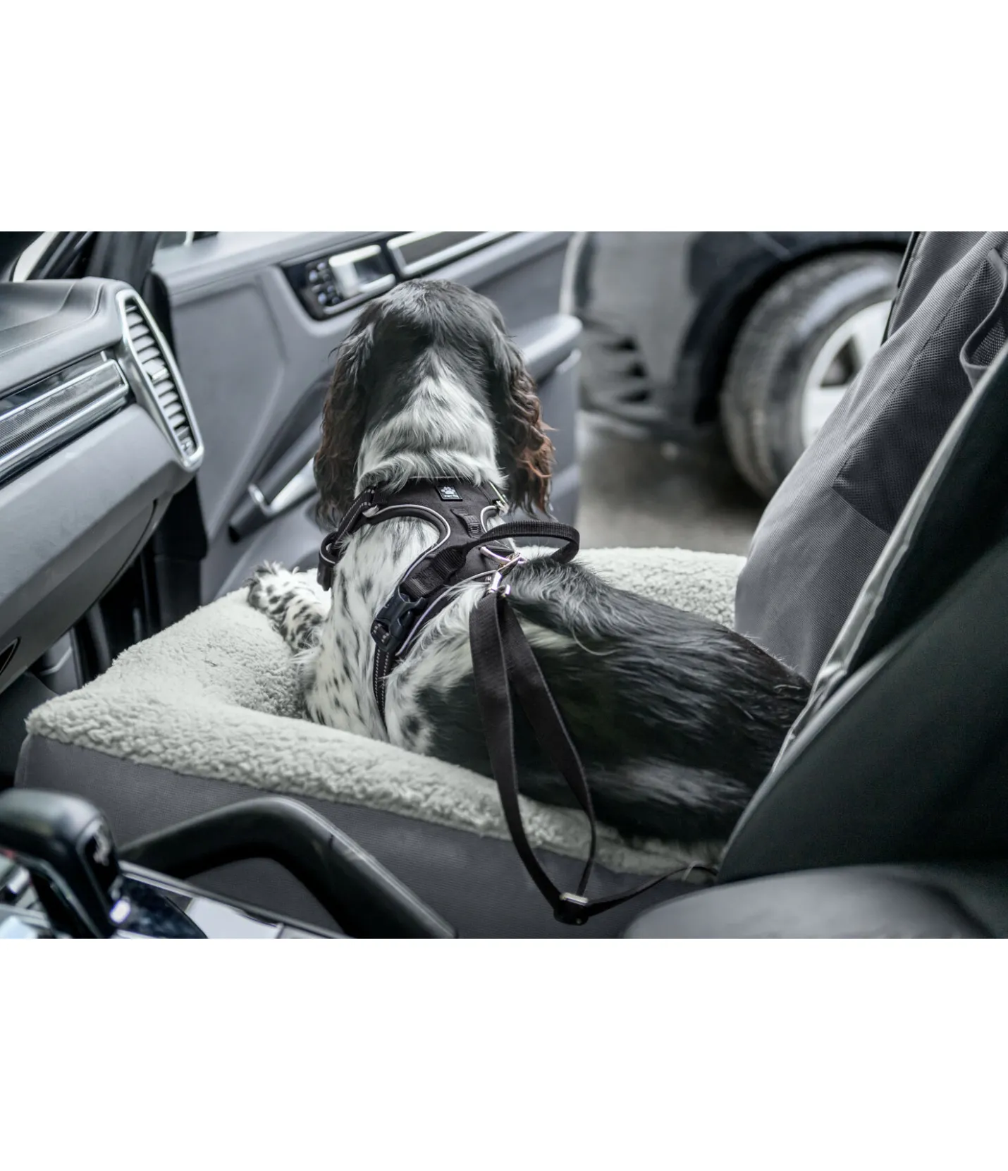 sugar dog Coussin siège-auto pour chien Maine gris nuage New