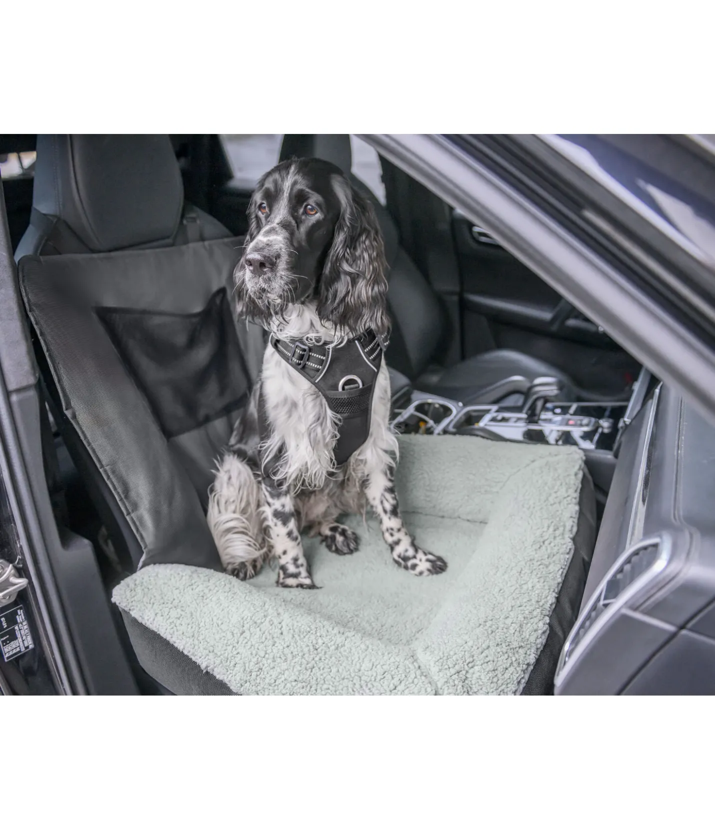 sugar dog Coussin siège-auto pour chien Maine gris nuage New