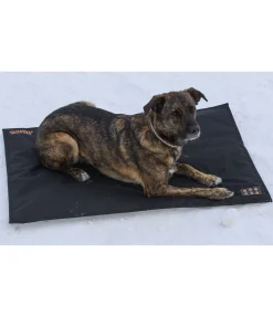 Felix Bühler Coussin thermique pour chien Ceramic Rehab noir Sale