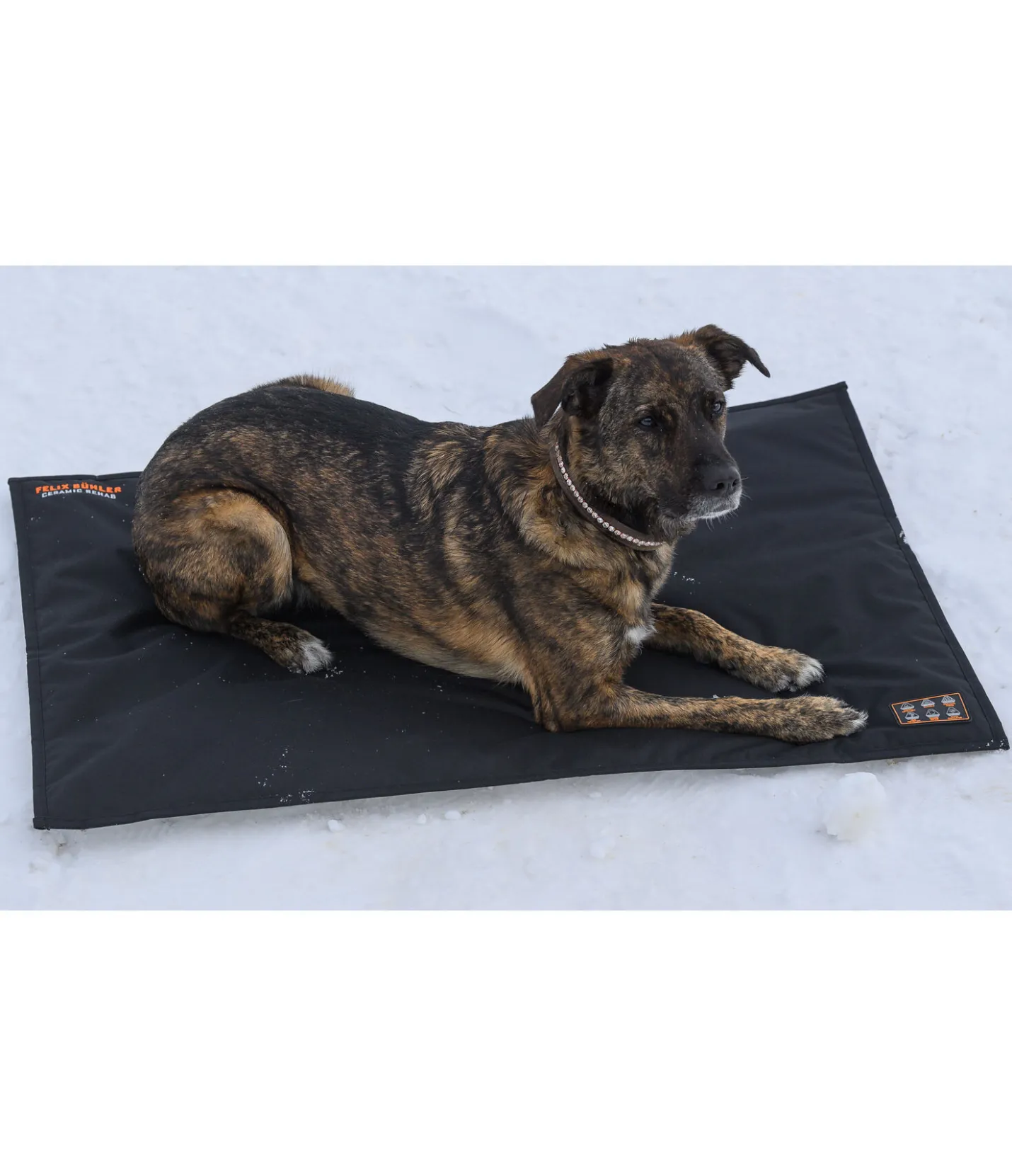 Felix Bühler Coussin thermique pour chien Ceramic Rehab noir Sale