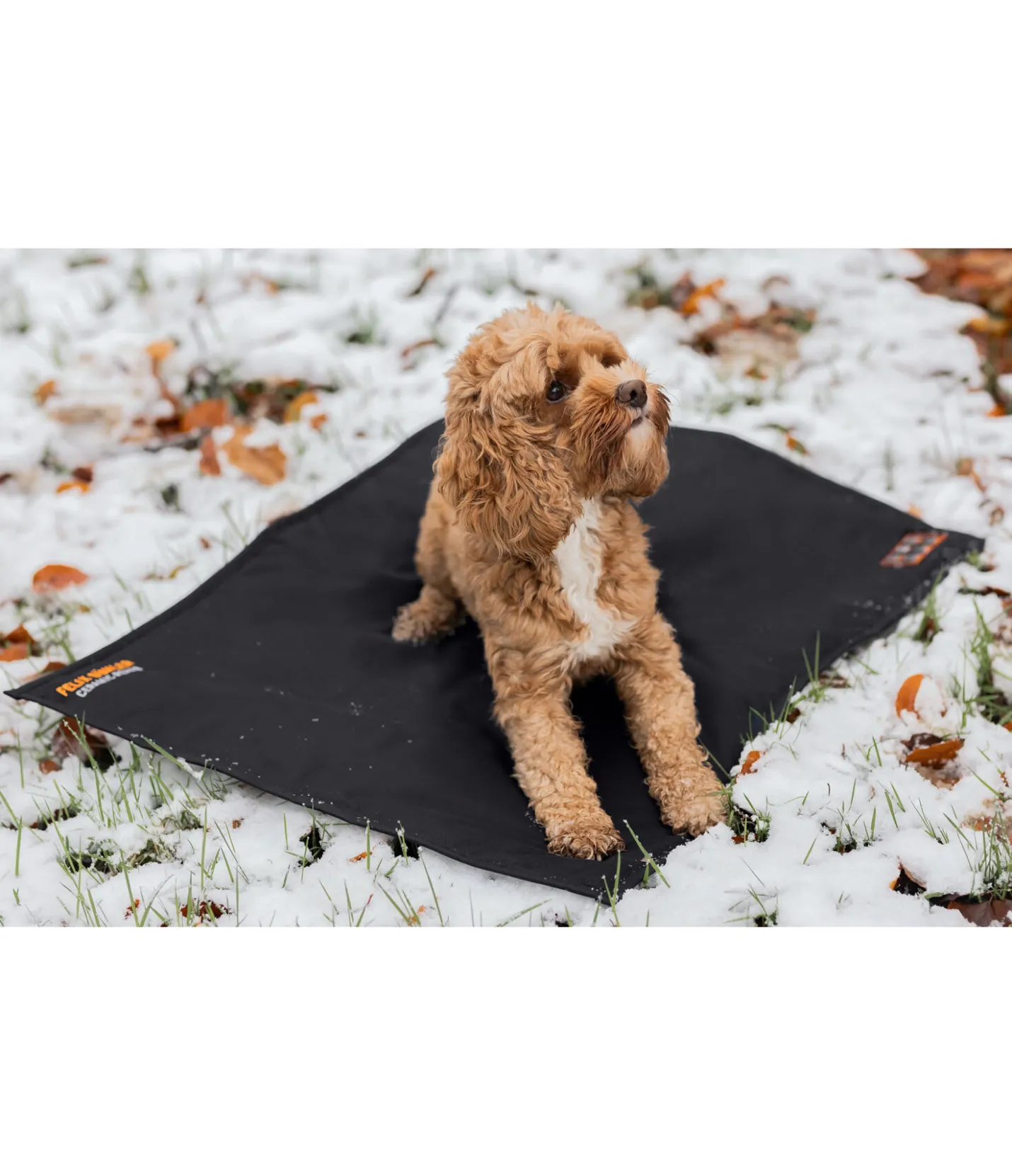 Felix Bühler Coussin thermique pour chien Ceramic Rehab noir Sale