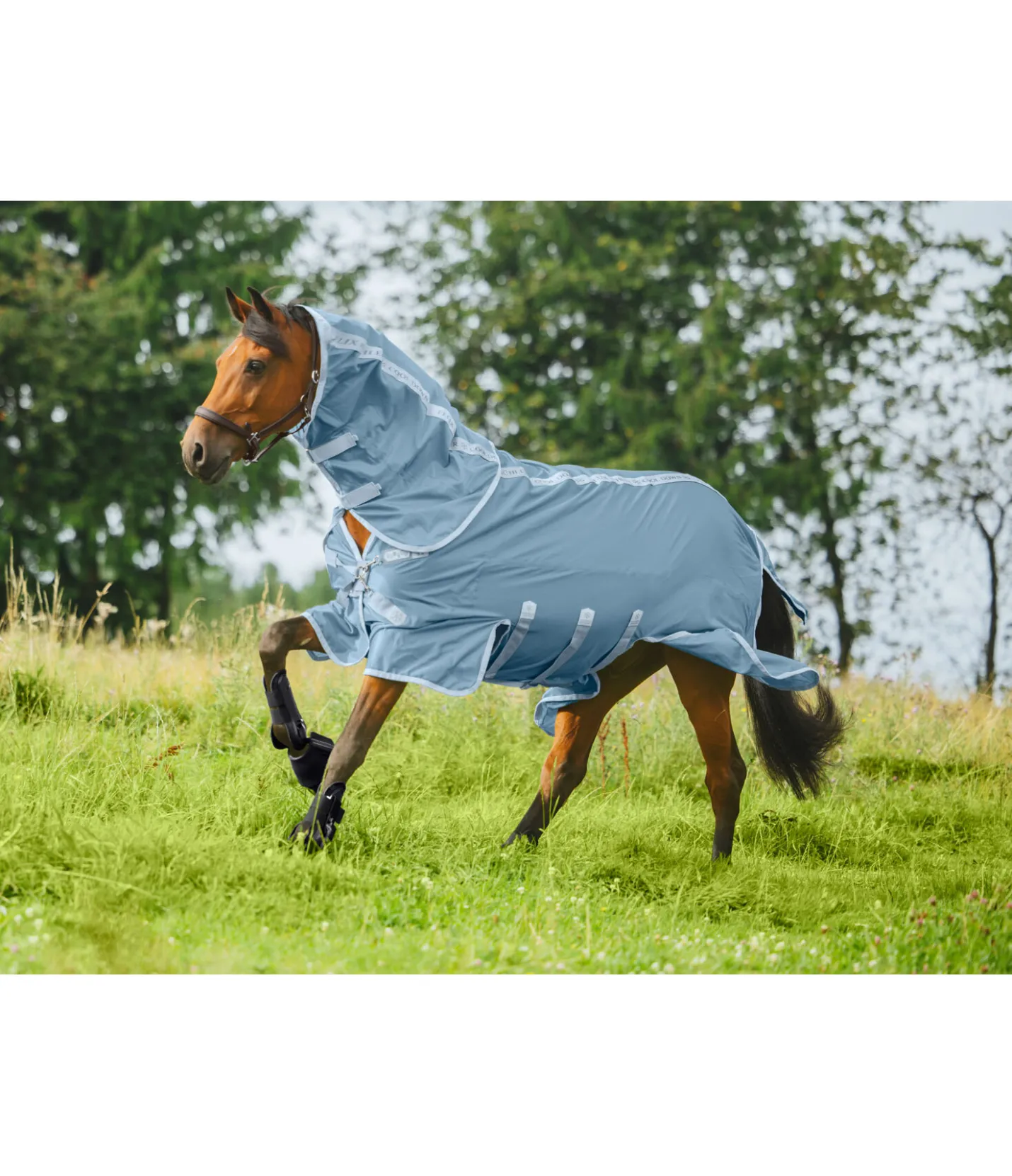 Felix Bühler Couverture anti-mouches technique Cool Down gris bleu Sale