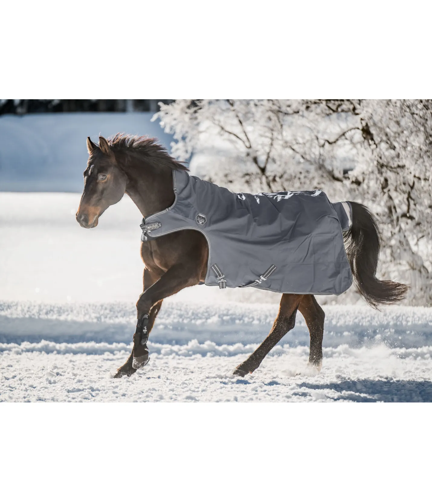 Felix Bühler Couverture de marcheur imperméable Highneck Perfect Fit Nylon PRO, 50 g carbone Sale